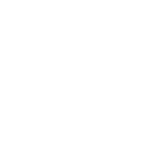 Ekahau_logo_wit